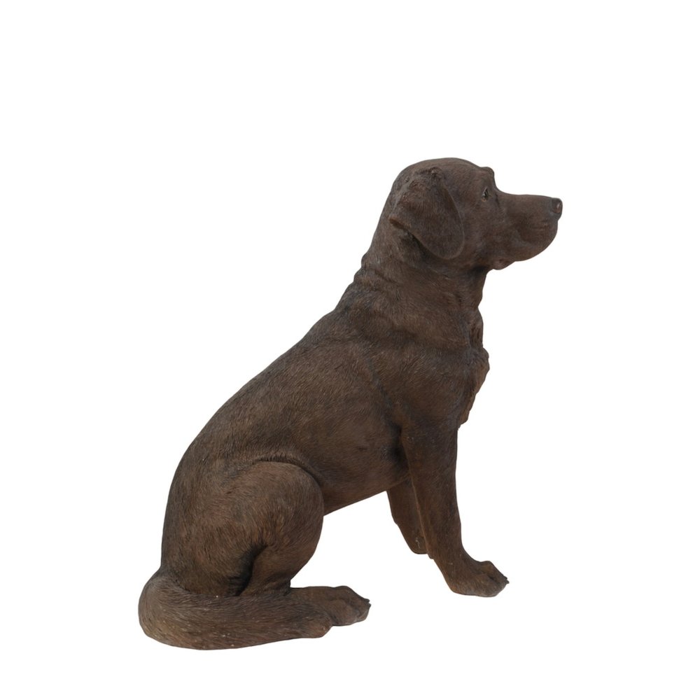 Brown Labrador Retriever Sitting