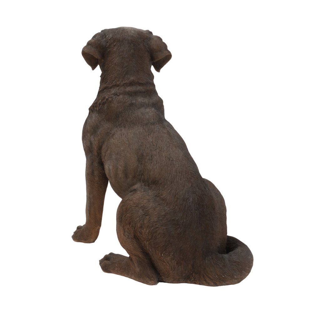 Brown Labrador Retriever Sitting
