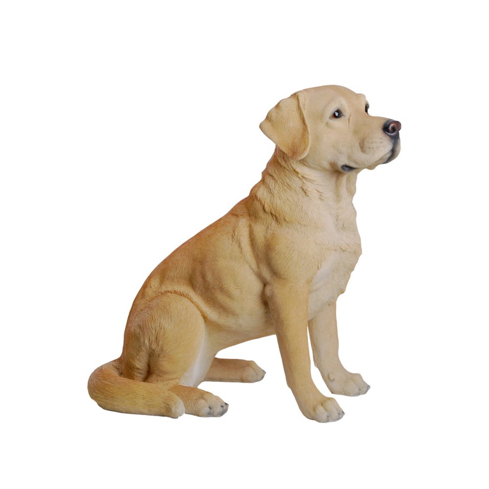 Yellow Labrador Retriever Sitting