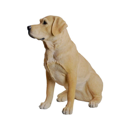 Yellow Labrador Retriever Sitting