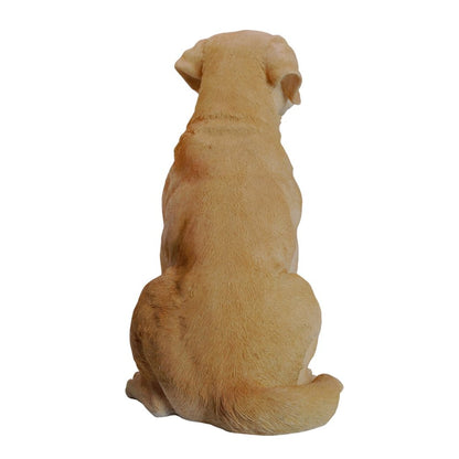 Yellow Labrador Retriever Sitting
