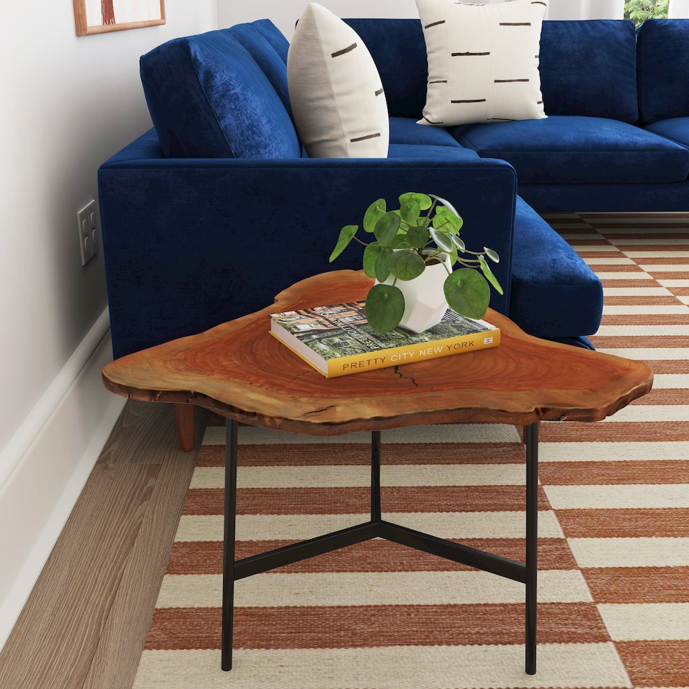 Ipswich Live Edge Side Table, Multi-Color