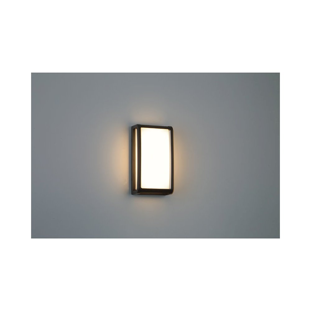 Outdoor LED Wall Mount