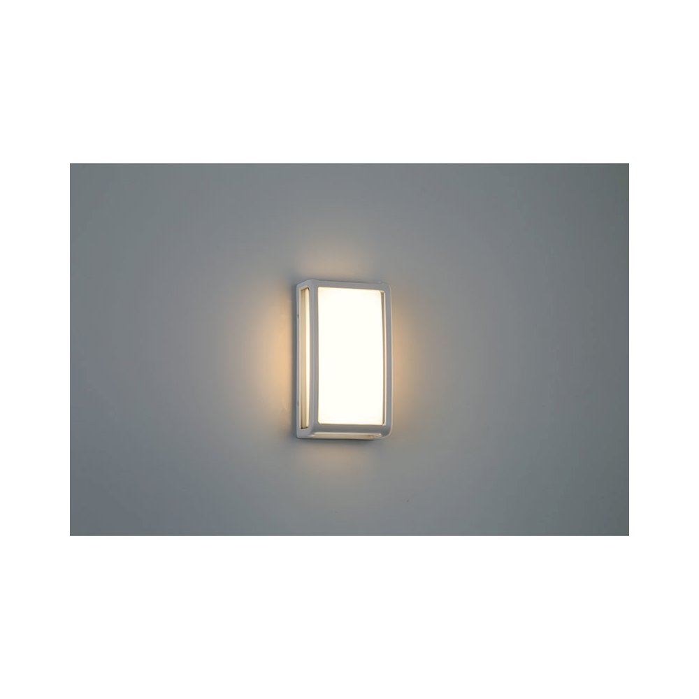 Outdoor LED Wall Mount