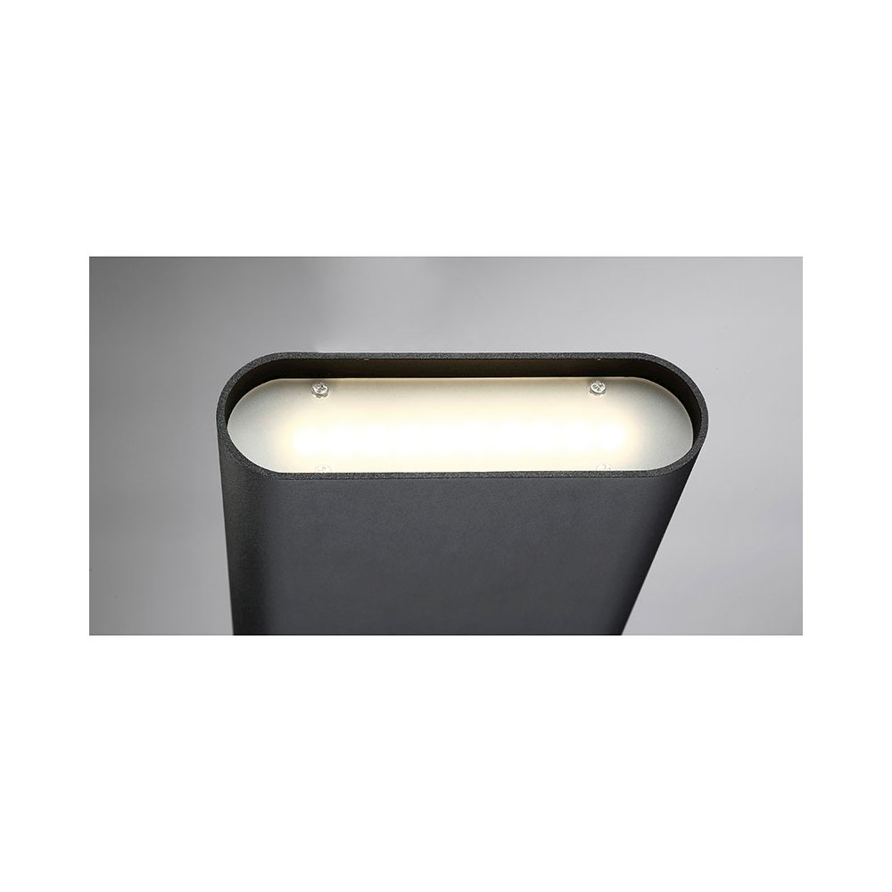 Dual Voltage LED Wall Sconce