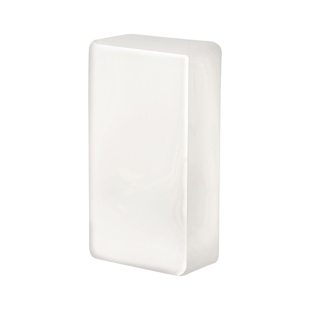 1 Light Outdoor Wall Mount