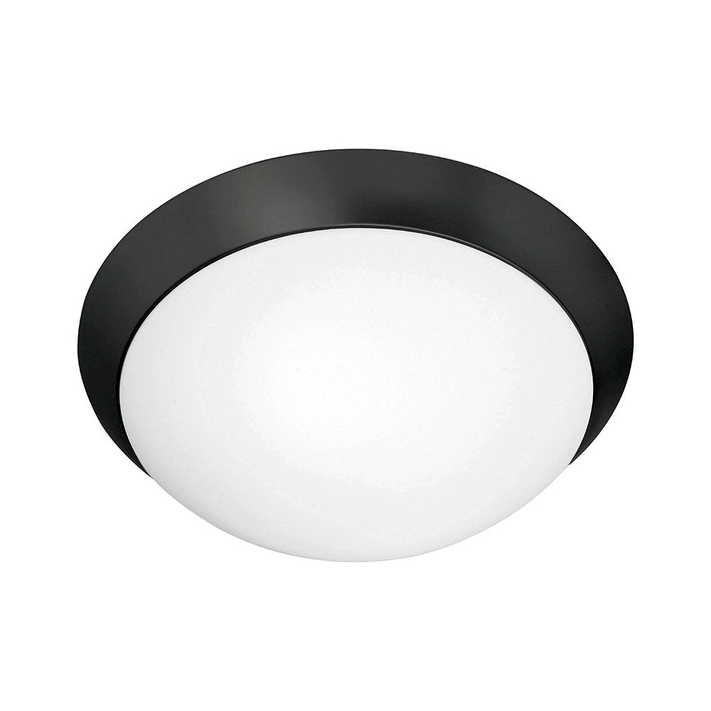 Flush Mount in Matte Black Color