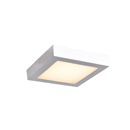 LED Flush Mount