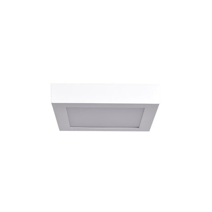 LED Flush Mount