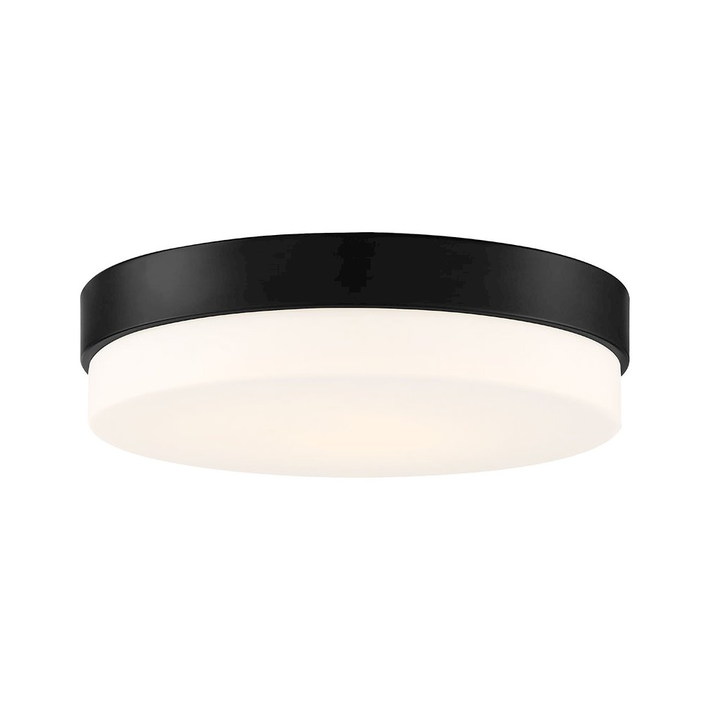 LED Flush Mount in Matte Black Color