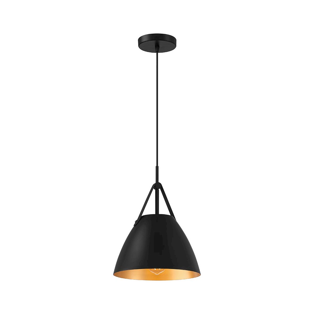 1 Light Pendant in Matte Black Color