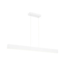 Dual Voltage LED Linear Pendant