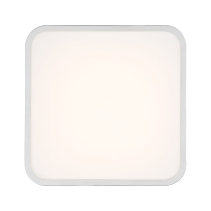 LED Flush Mount