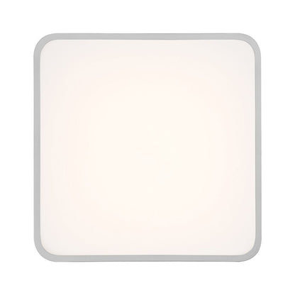 LED Flush Mount