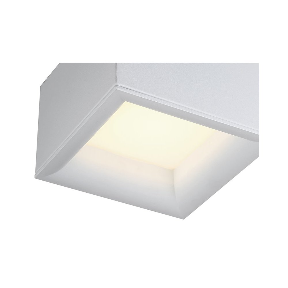 Dual Voltage LED Flush Mount
