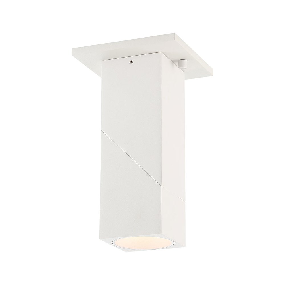 Dual Voltage Adjustable LED Spotlight