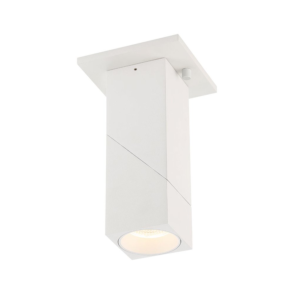 Dual Voltage Adjustable LED Spotlight