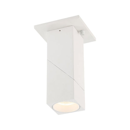 Dual Voltage Adjustable LED Spotlight