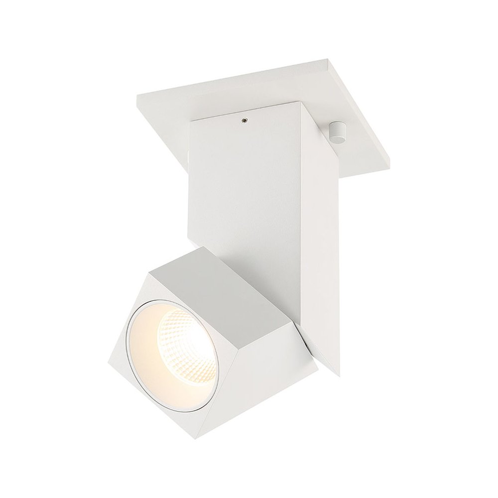 Dual Voltage Adjustable LED Spotlight