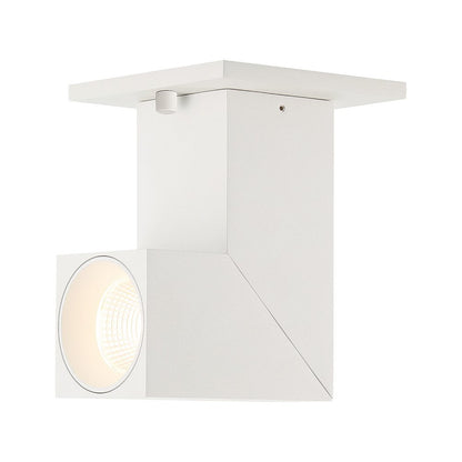 Dual Voltage Adjustable LED Spotlight