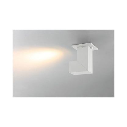 Dual Voltage Adjustable LED Spotlight
