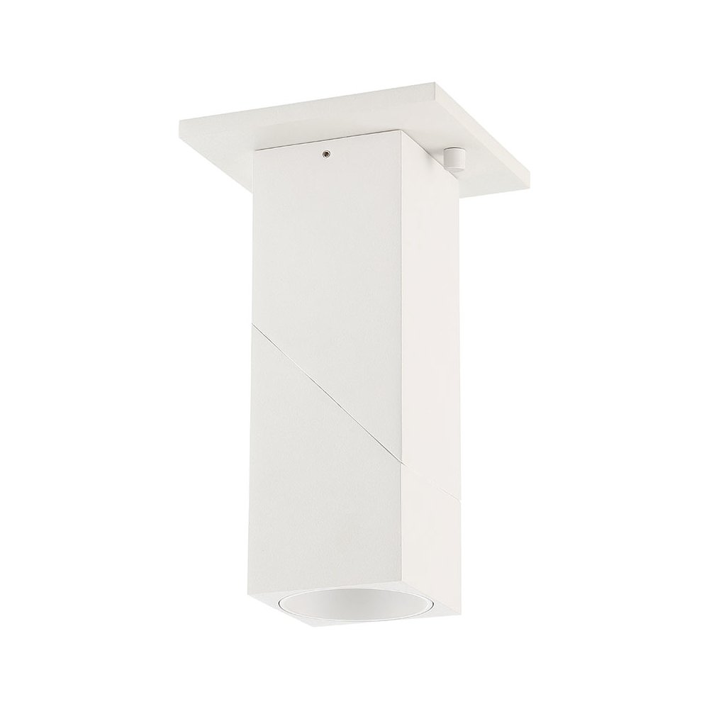 Dual Voltage Adjustable LED Spotlight