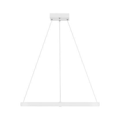 Dual Voltage LED Pendant