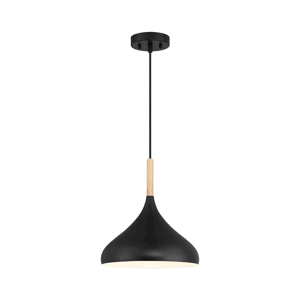 1 Light Pendant in Black Color