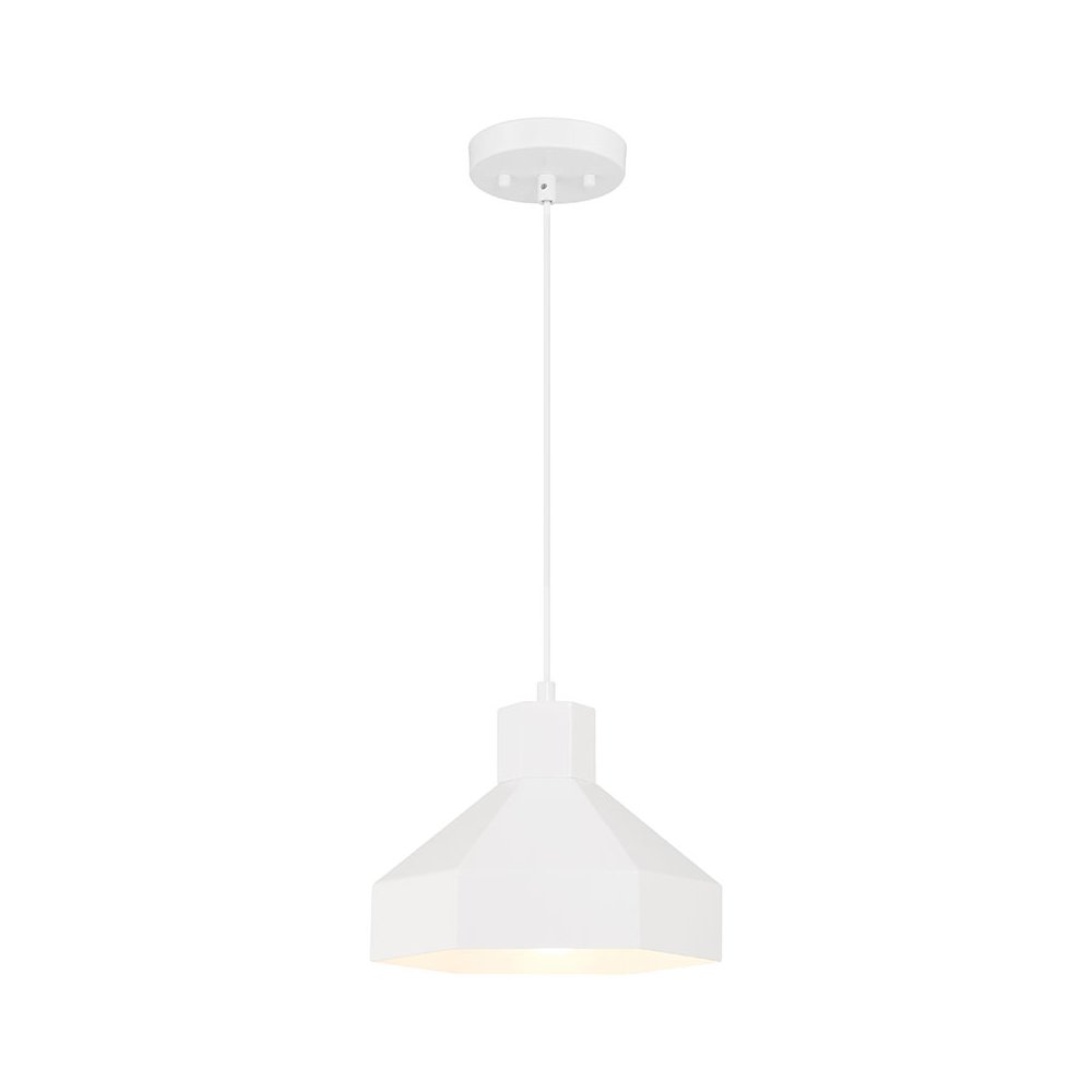 1 Light Pendant in Matte White Color