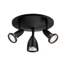 3 Light Adjustable LED Flush Mount in Black Color