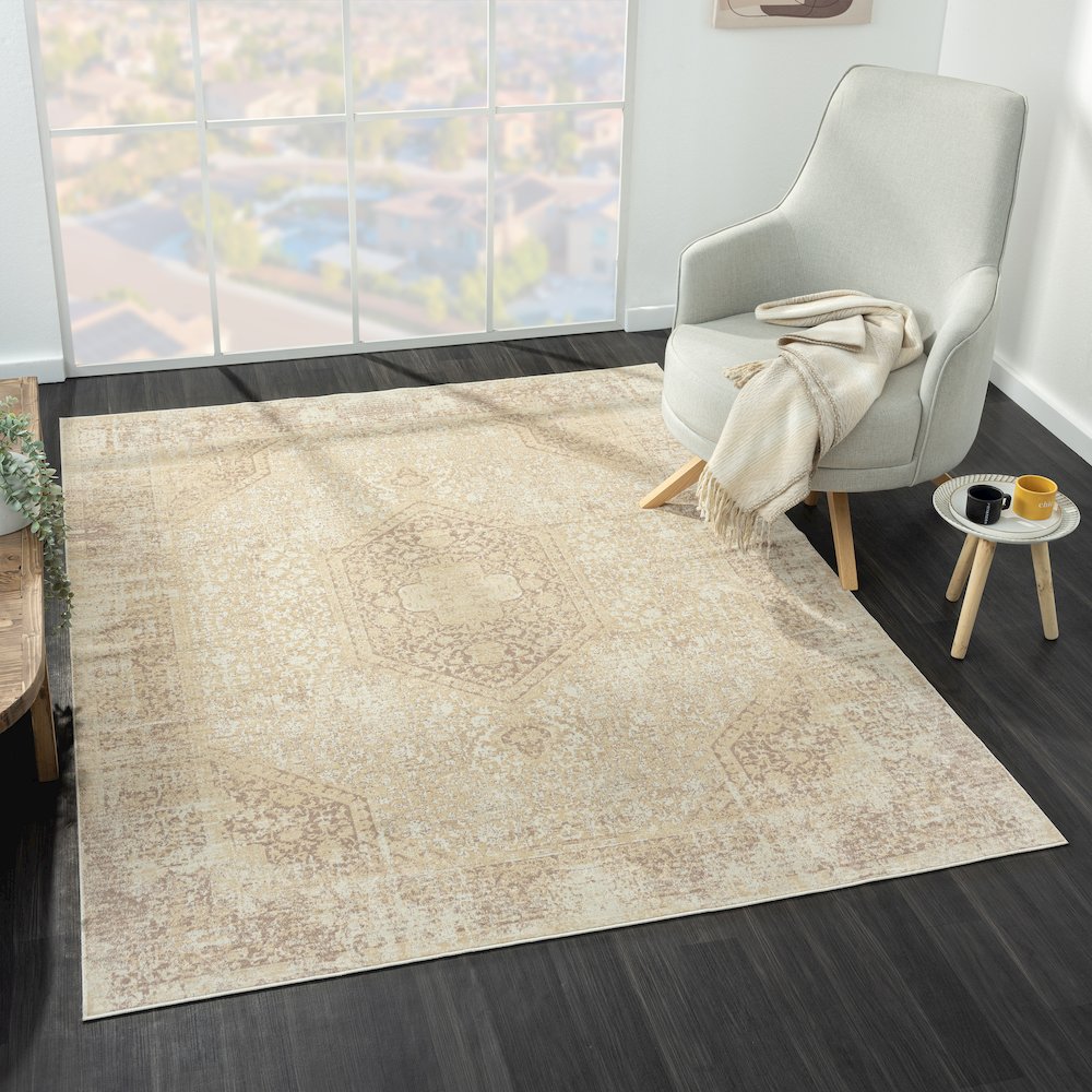Aria Durable Performance Area Rug Indoor in Beige, 2'8" x 3'10"