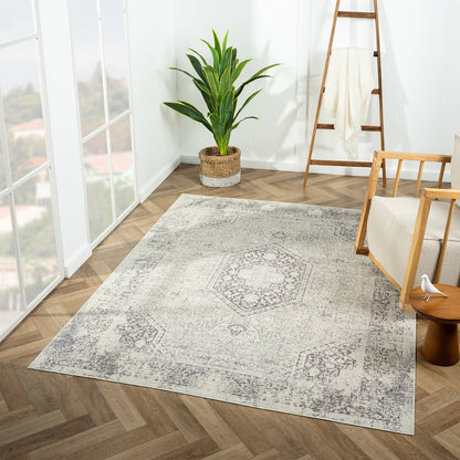 Aria Durable Performance Area Rug Indoor in Gray, 2'8" x 3'10"