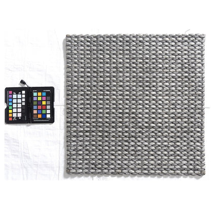 Bergen Wool Blend Area Rug Indoor in Gray/Silver, 2' x 3'