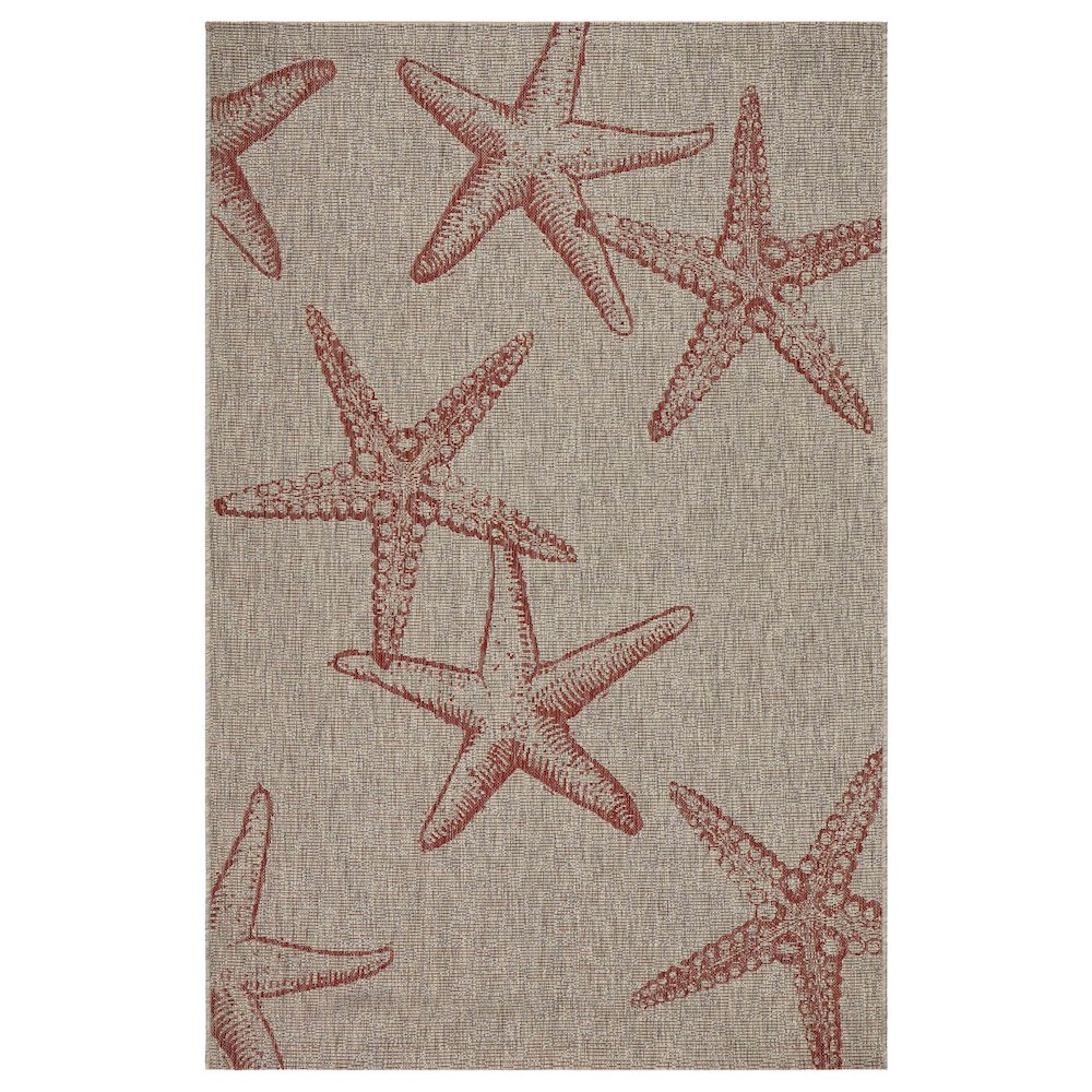 Captiva Durable Performance Area Rug Outdoor in Red/Beige, 5' x 7'