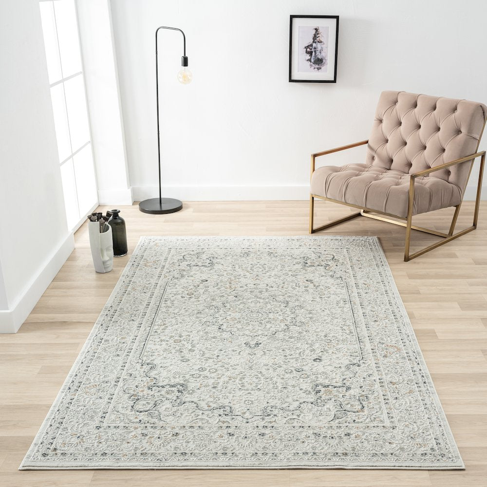 Isabella Performance Blend Area Rug Indoor in Gray, 4' x 6'