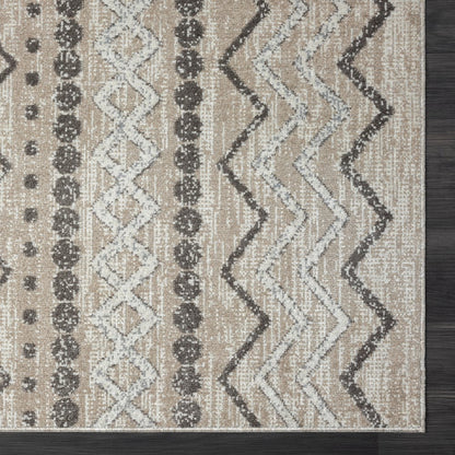 Lanham Durable Performance Area Rug Indoor in Beige/Gray, 7'9" x 9'9"