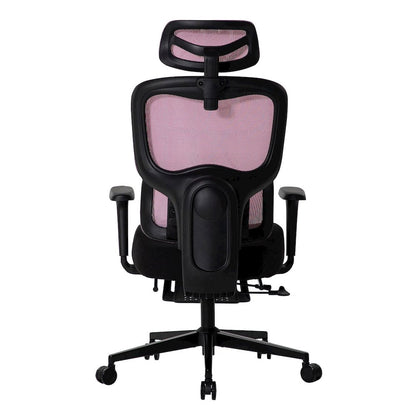Office Chair with 9 Adjustable Points, Dual-Pad Lumbar Support, 3D Armrests