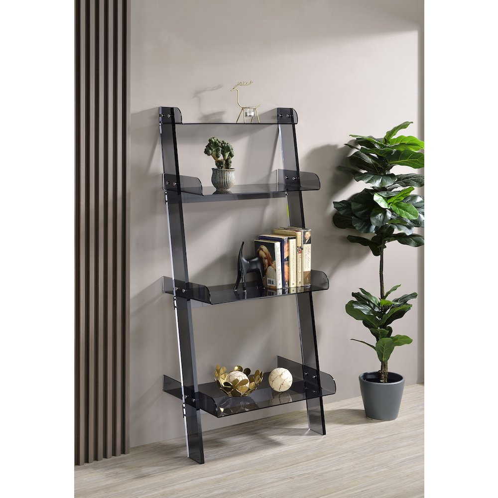 Black Smoked Lucite Acrylic 4-Tier Tall Modern Bookshelf