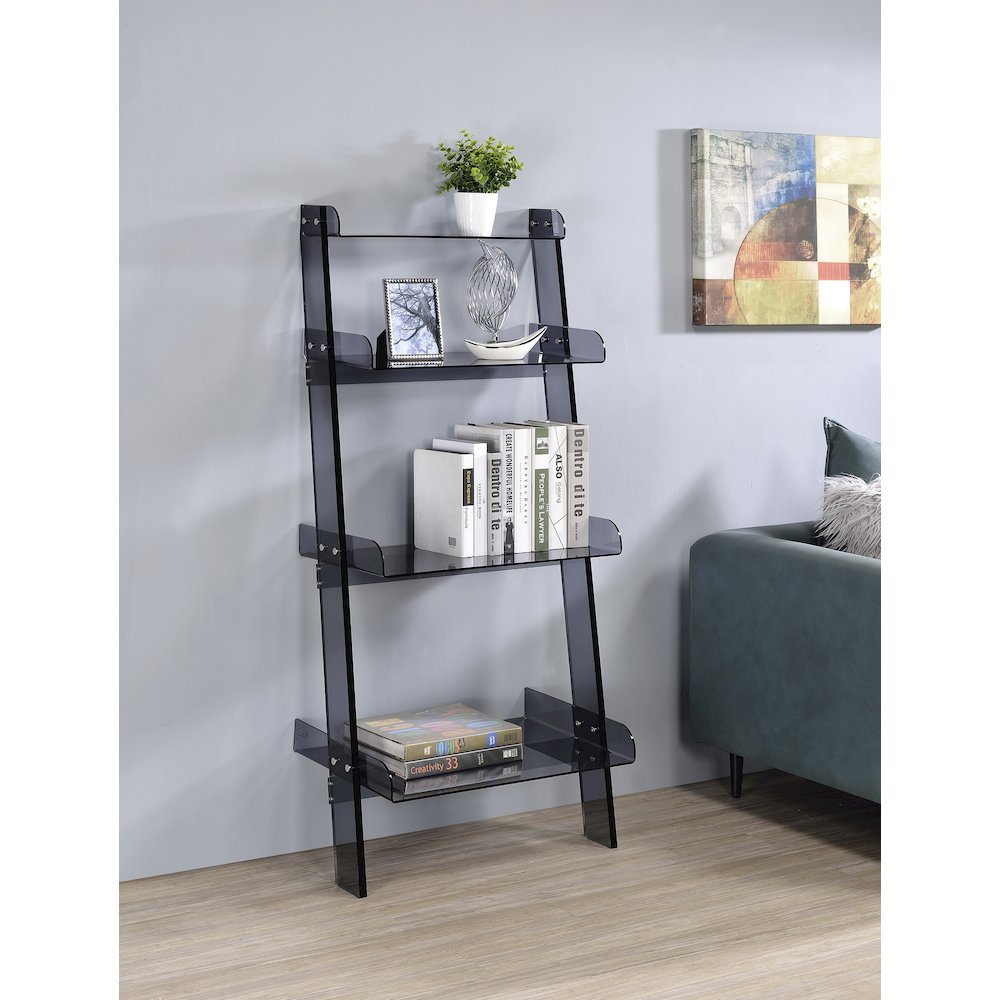 Black Smoked Lucite Acrylic 4-Tier Tall Modern Bookshelf