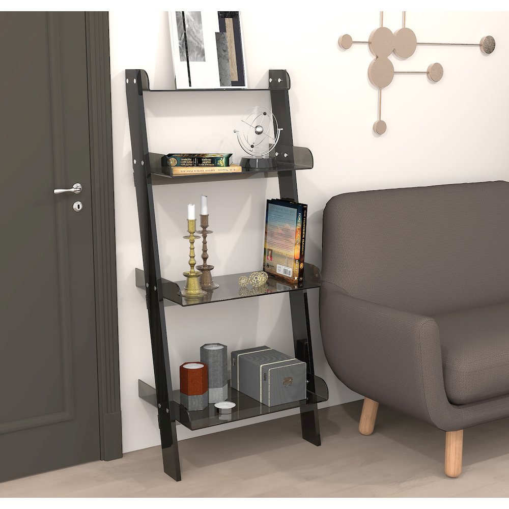 Black Smoked Lucite Acrylic 4-Tier Tall Modern Bookshelf