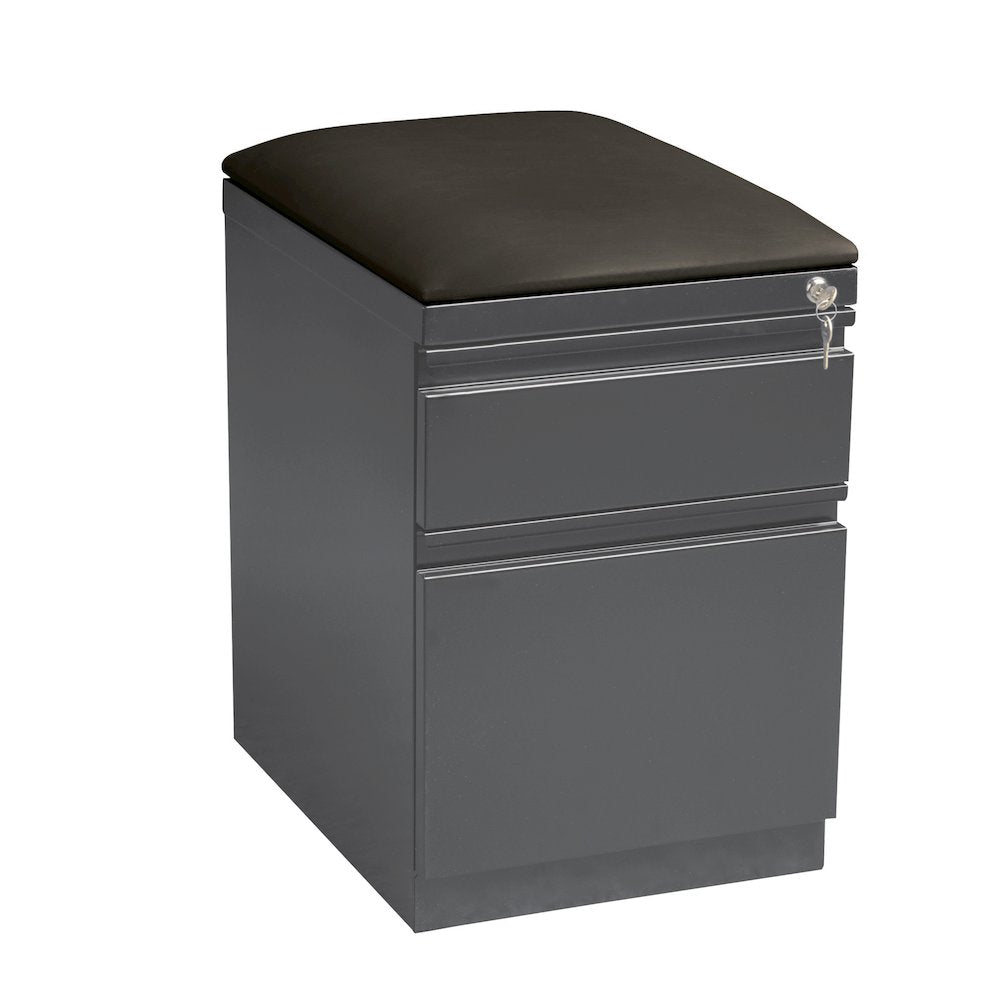 Hirsh 20 inch Deep Mobile Pedestal File Cabinet 2 Drawer Box-File Charcoal/Black