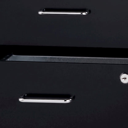 Bison Office Vertical File Organizer with 4 Locking Drawers, Black