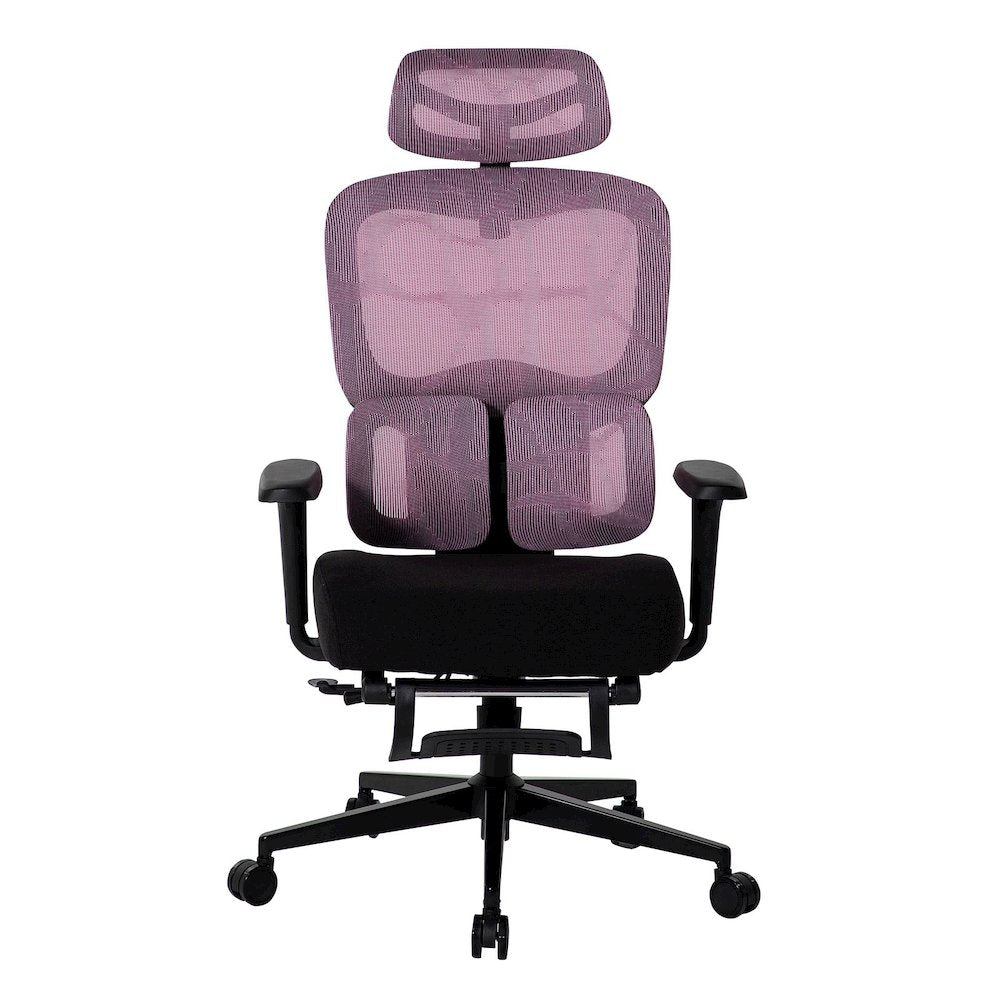 Office Chair with 9 Adjustable Points, Dual-Pad Lumbar Support, 3D Armrests