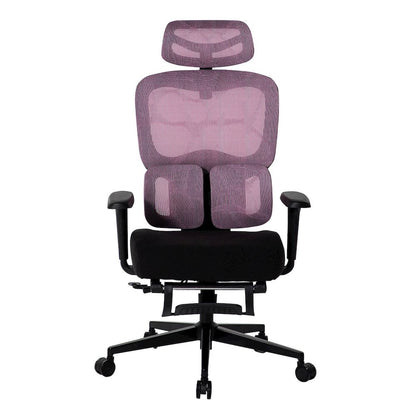 Office Chair with 9 Adjustable Points, Dual-Pad Lumbar Support, 3D Armrests
