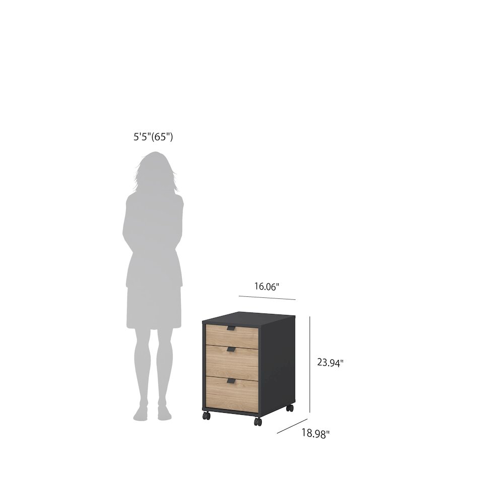 Sign 3-Piece Home Office Set with Desk, Storage Bookcase and Mobile Storage